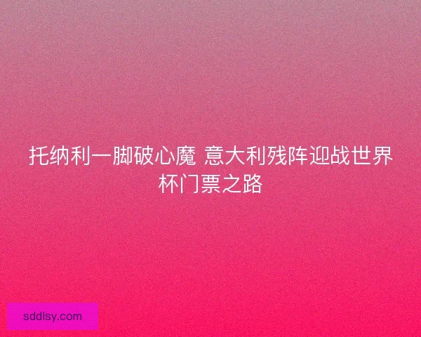 托纳利一脚破心魔 意大利残阵迎战世界杯门票之路
