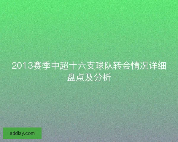 2013赛季中超十六支球队转会情况详细盘点及分析